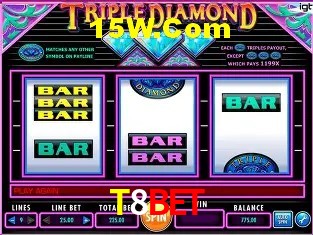 T8Bet Salvador - Support